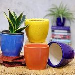 Glazované obaly Glazované obaly