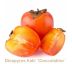Diospyros Kaki (Hurmikaki)  ´Cioccolatino´ 20L/KM 90-100 (8/10)