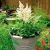 Astilbe x arendsii ´Astary White ´