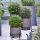 Lonicera nitida ´Green Breeze´®