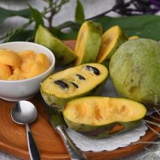 Asimina triloba (Paw Paw)