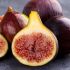 Ficus carica ´BROGIOTTO NERO´ na kmienku