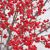 Ilex verticillata