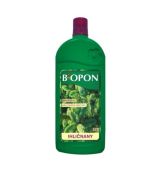 Honjivo na ihličnany Bopon