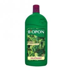 Honjivo na ihličnany Bopon