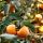 Diospyros Kaki (Hurmikaki) ´Ragno´