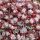 Sedum spathulifolium ´Purpureum´