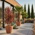 Cordyline australis ´Charlie Boy´®