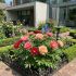 Paeonia Itoh ´Julia Rose´