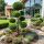 Cupressocyparis leylandii ´CWG´ Pon-Pon