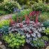 Heuchera 'Glitter'®