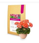Symbivit kvet