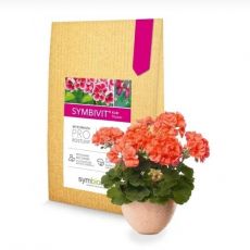 Symbivit kvet