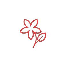 Paeonia Itoh ´Bartzella´